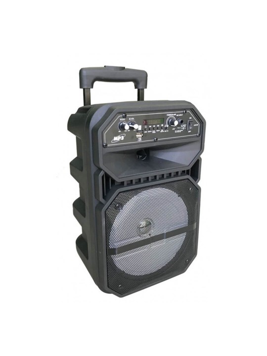 ND-6009 BT High Quality Sound Trolley Speaker With Wireless Mic