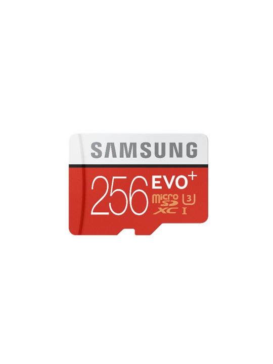 Samsung 256GB SD