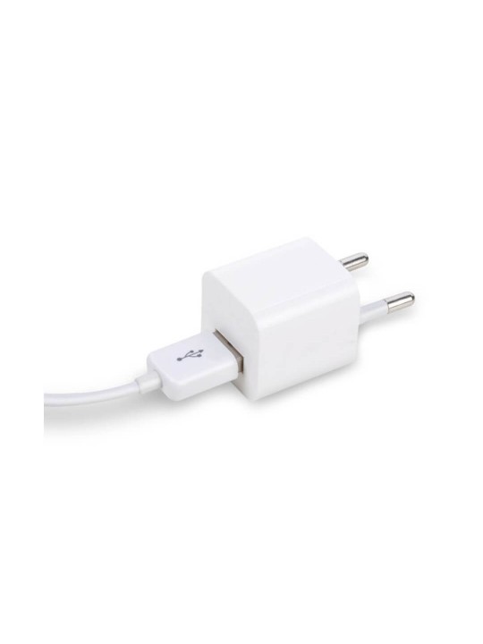WUW-C71 2 Pin Charger Top